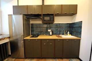 Апартаменты Loft Apartments on Desyatynnyi Ln Киев Апартаменты-6